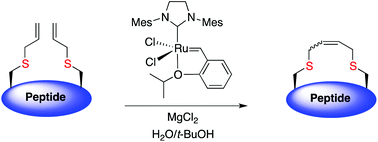 Investigation of the Ring-Closing Metathesis of Peptides in Water Table of Contents Entry