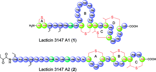 Solid Supported Chemical Synthesis of Both Components of the Lantibiotic Lacticin 3147 Table of Contents Entry