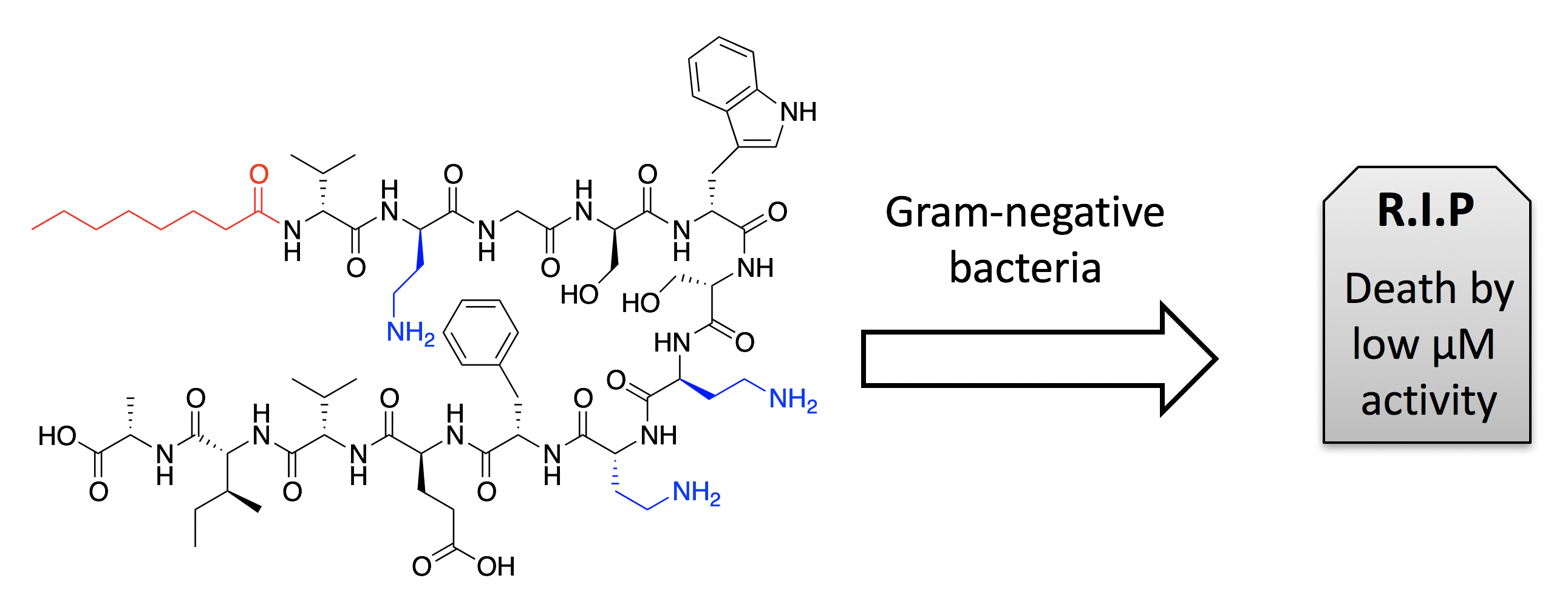 Synthesis and Structure-Activity Relationship Studies of N-Terminal Analogues of the Antimicrobial Peptide Tridecaptin A1 Table of Contents Entry