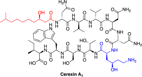 Total Synthesis and Stereochemical Assignment of the Antimicrobial Lipopeptide Cerexin A1 Table of Contents Entry